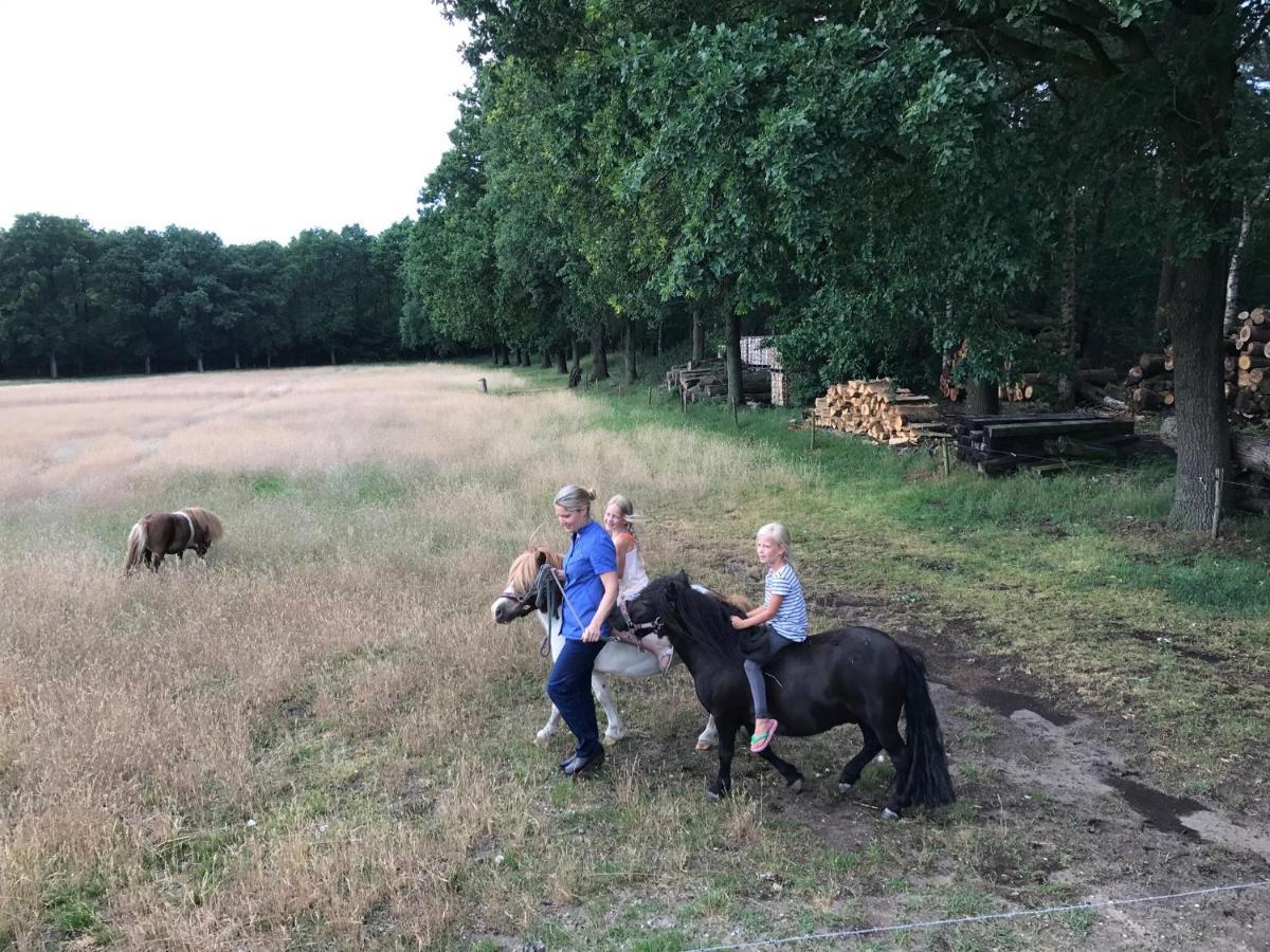 Bed & Breakfast De Zandhoef Eersel Eksteriør bilde